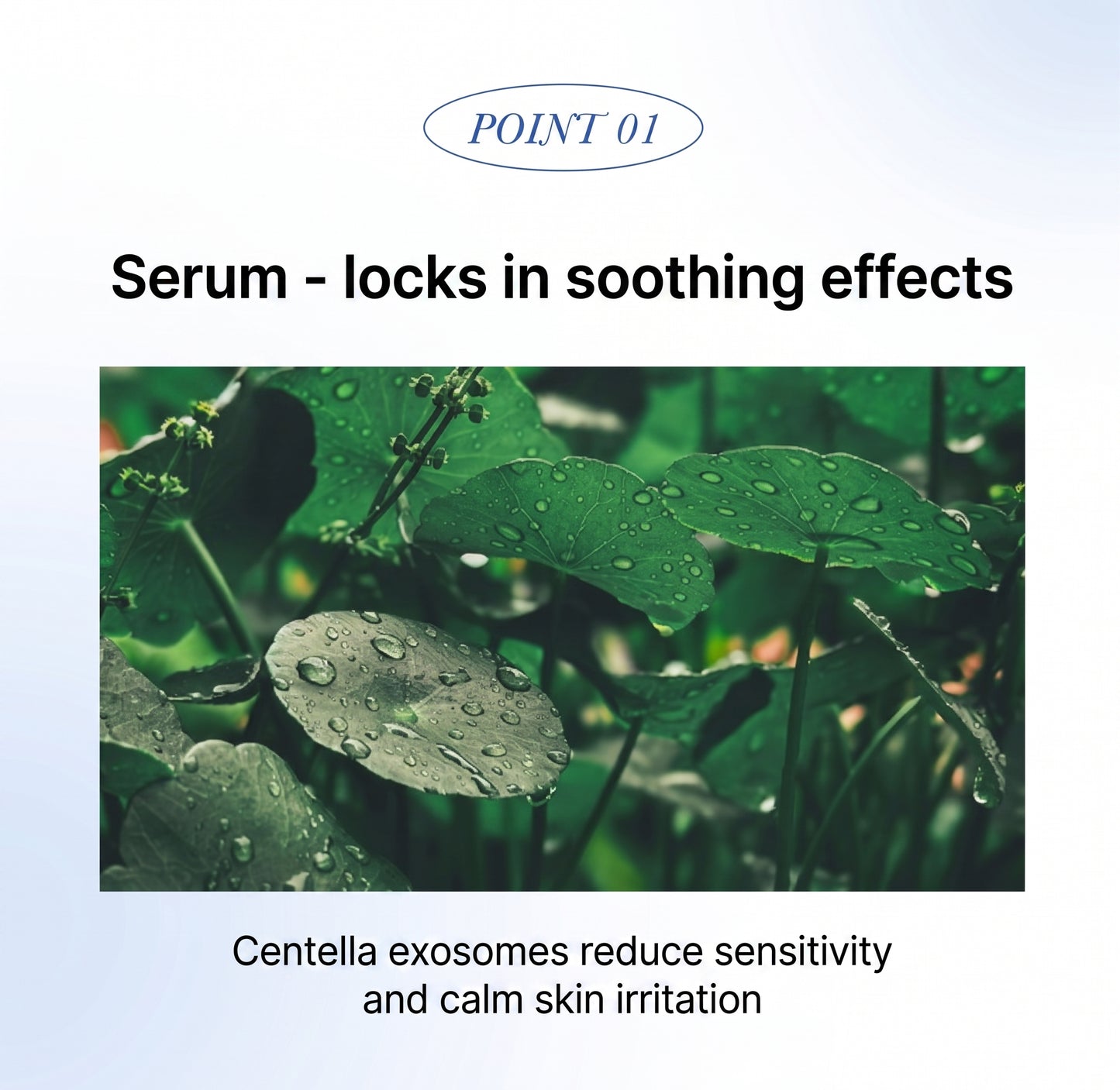 Celavu Cica Soothing Serum/Cream - Intensive Calming & Hydrating Skin Barrier Care